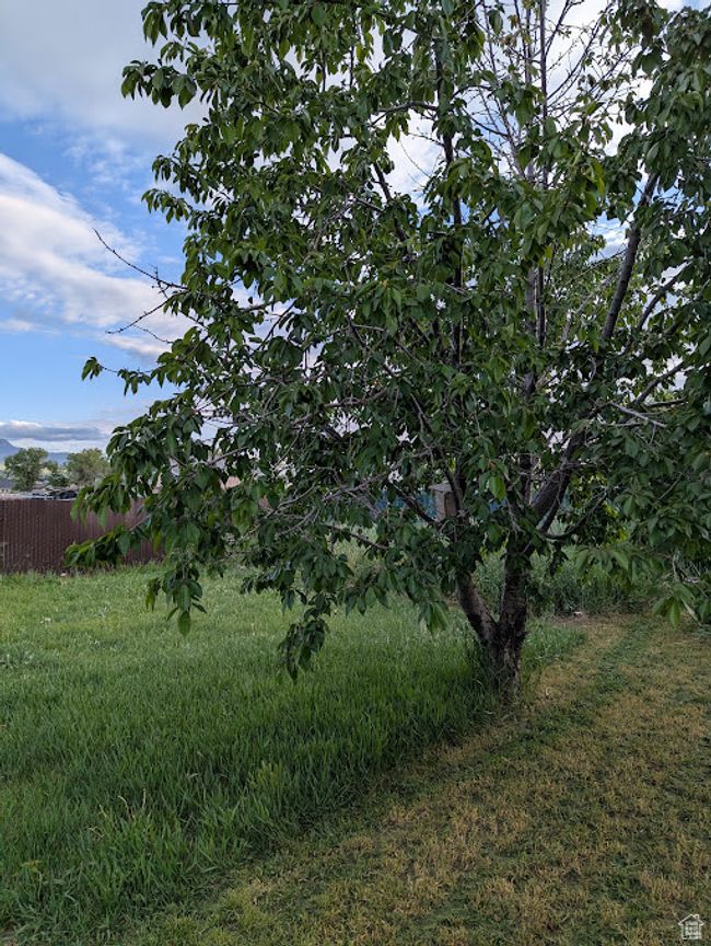 View of undeveloped land | Image 27