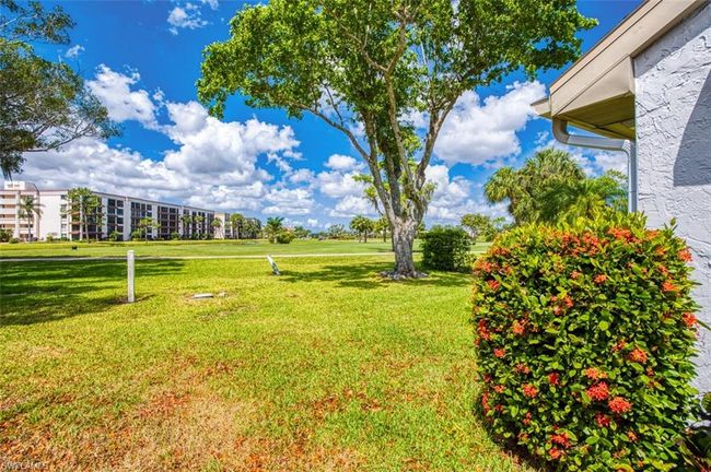 View of yard | Image 41