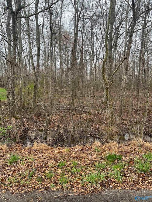 Lot 16 Jessica Dr, Toney, AL, 35773 | Card Image