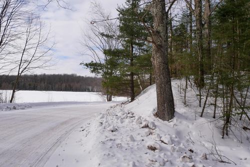 +/-.544 Acre Salem Lake Road, MOLITOR, WI, 54451 | Card Image