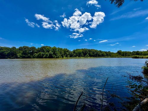 40.37 AC Smyrna Rd, Somerville, TN, 38068 | Card Image