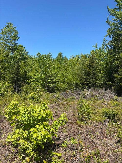54 Poplar Ln, Hancock, ME, 04640-3213 | Card Image