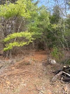 Land in Deerpark 3