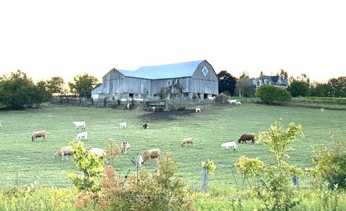 807 County Rd 41 Road, Kawartha Lakes, ON, K0M2B0 | Card Image
