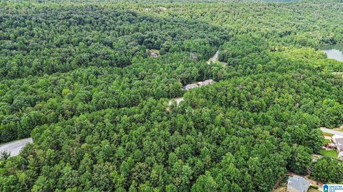 19-lots-see-documents-fo-0 Whitetail Run, CHELSEA, AL, 35043 | Card Image
