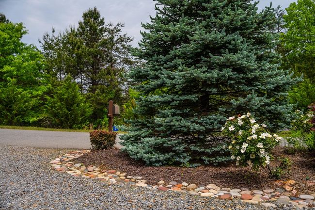 9 Kensington Dr, Home with 3 bedrooms, 3 bathrooms and null parking in Mineral Bluff GA | Image 56