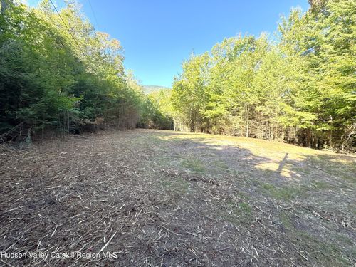 15 Corfu Rd, Elka Park, NY, 12427 | Card Image