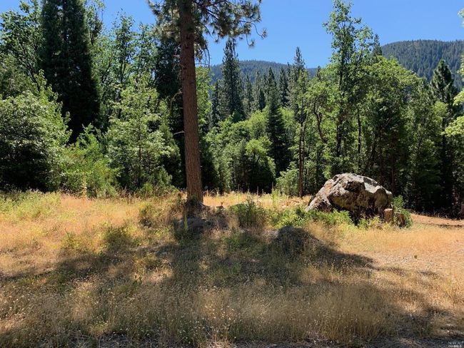 103 Lewis Ln, Home with 0 bedrooms, 0 bathrooms and null parking in Sierra City CA | Image 9