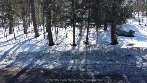 46 Ridgeway Dr, Nobel, ON, P0G1G0 | Card Image