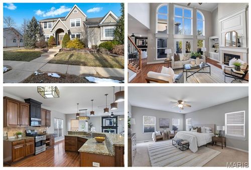 317 Lake Side View Ln, Saint Peters, MO, 63376-2293 | Card Image