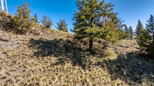 View of local wilderness | Image 55