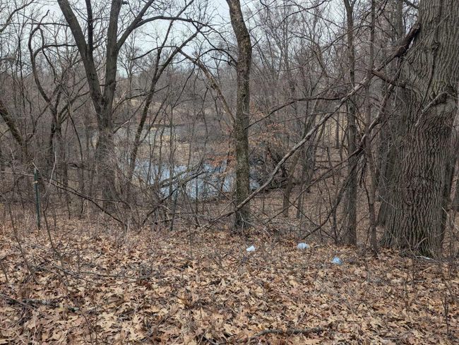 pond on back side of property | Image 37