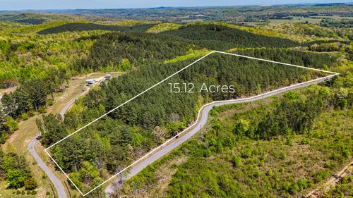 15.12 Acre Rynes Rd, Decatur, TN, 37322 | Card Image