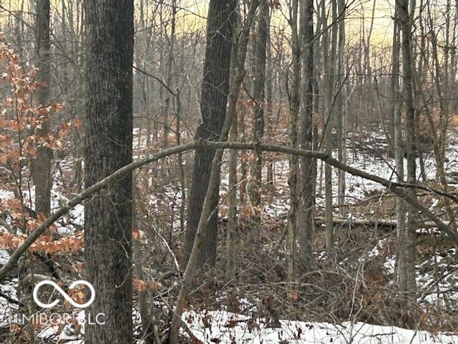 Interior Picture Of The Property, West Side Of The Road | Image 13