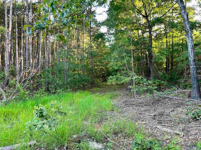 2735 Brandy Rd, Home with 0 bedrooms, 0 bathrooms and null parking in New Diana TX | Image 17
