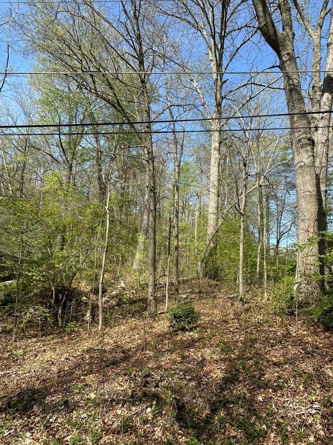 View of lot | Image 4