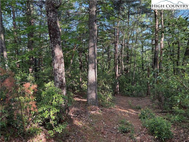 27 Wolf Pen Rd, Home with 0 bedrooms, 0 bathrooms and null parking in Purlear NC | Image 15