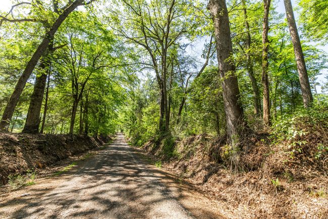 1 County Rd, Home with 0 bedrooms, 0 bathrooms and null parking in Leesburg TX | Image 10