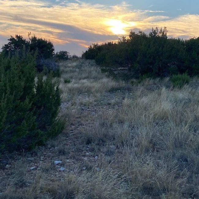 000 Private Rd 3922, Home with 0 bedrooms, 0 bathrooms and null parking in Miles TX | Image 24