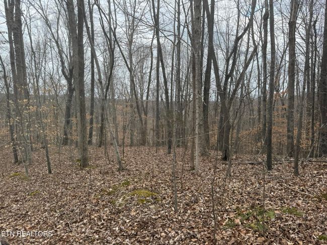 649 Garrett Town Ln, Home with 0 bedrooms, 0 bathrooms and null parking in Monroe TN | Image 16
