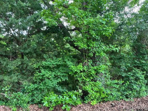 TBD Fm 779 Off Hwy 37, Mineola, TX, 75773 | Card Image