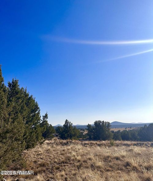 14 County Road 8249, Concho, AZ, 85924 | Card Image