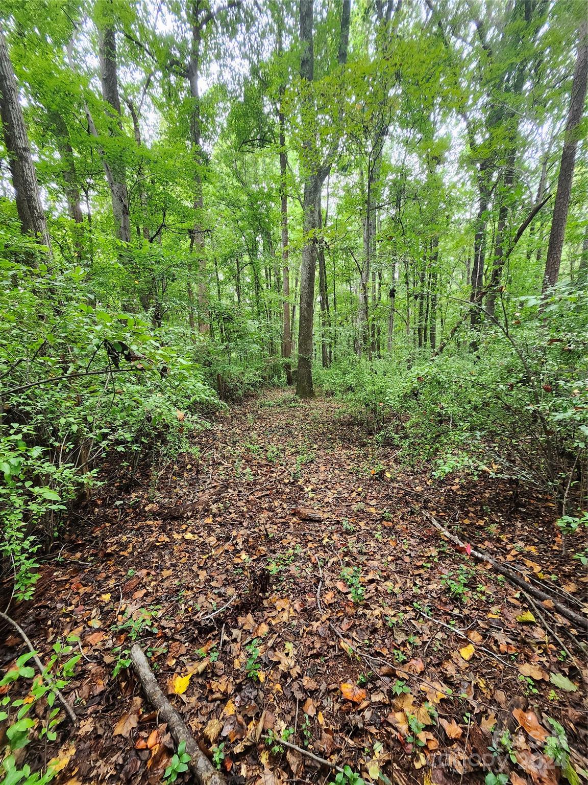 3AND4 304 Gaither Road, For Sale in Belmont Zoocasa