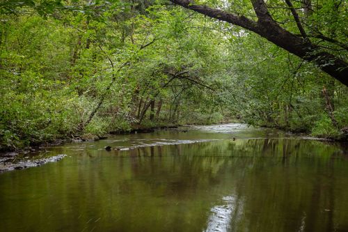 1 Ccc Rd, Fairview, TN, 37062 | Card Image