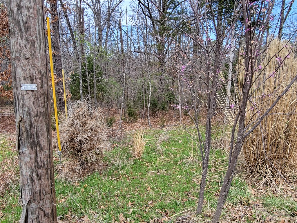 Land in Bella Vista 3