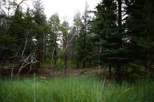 12052 Little Elk Rd, Deadwood, SD, 57732-7420 | Card Image