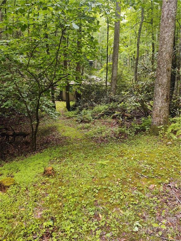 855 Timber Ridge Road, Sold in Millers Creek - eXp Realty