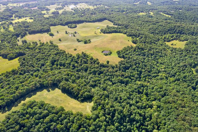0 Happy Hills Acre Rd, Home with 0 bedrooms, 0 bathrooms and null parking in Woodlawn TN | Image 23