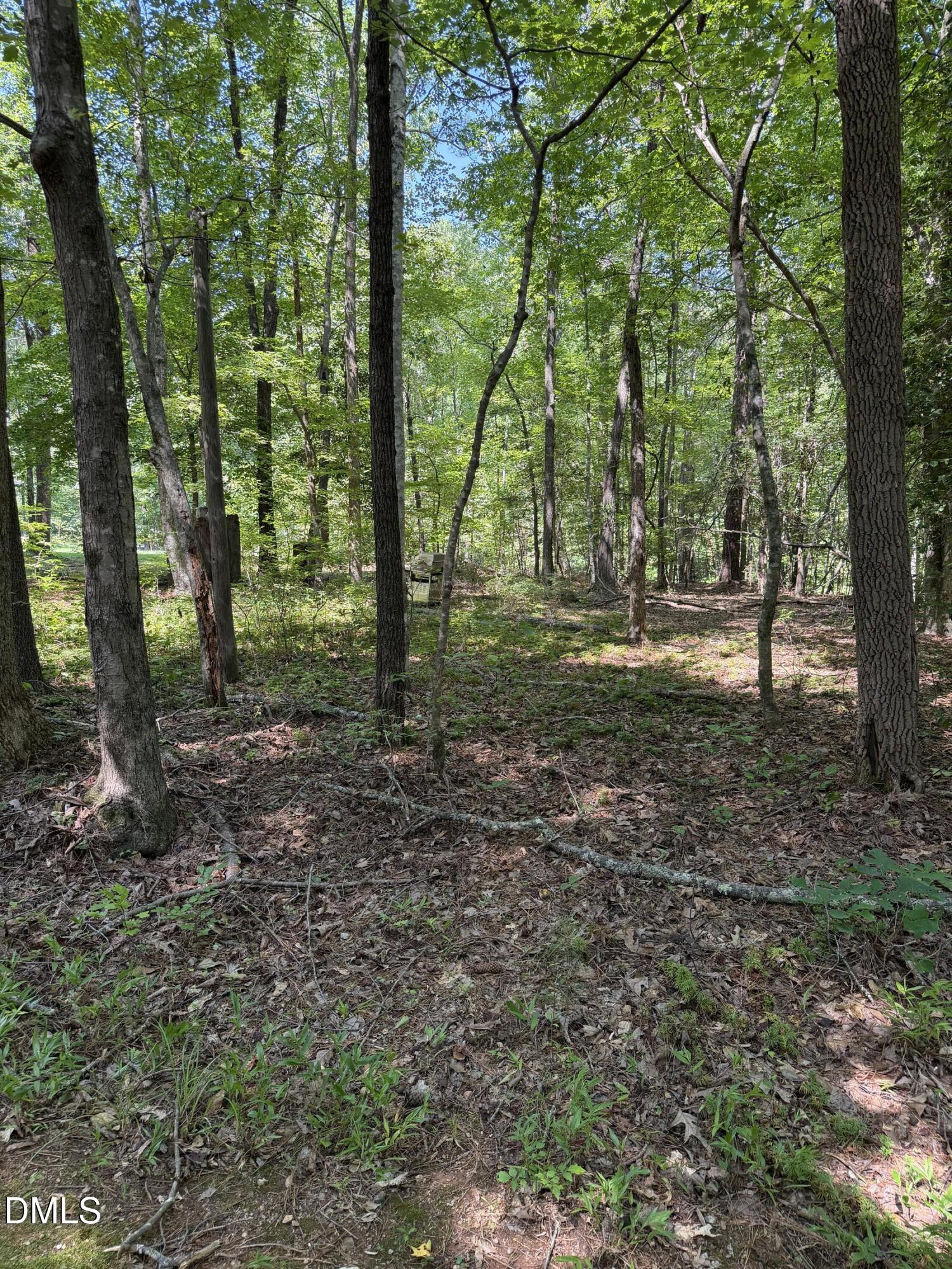 Land in Louisburg