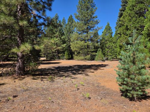 Lot 57 Nehemiah Drive, Shingletown, CA, 96088 | Card Image