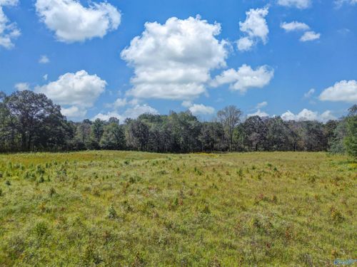 16 acres Holland Rd, Horton, AL, 35980 | Card Image