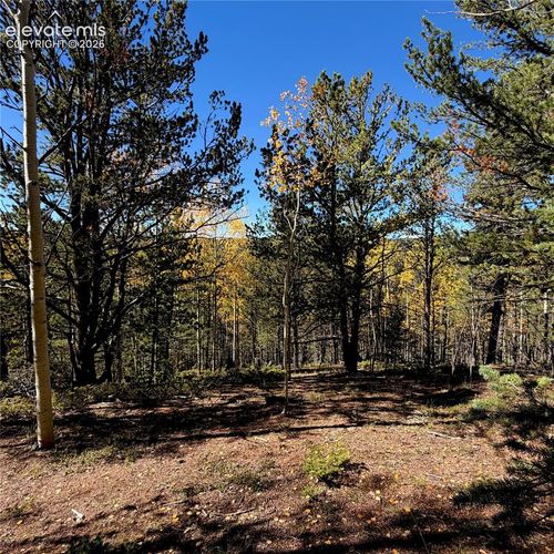 773 Timber Ridge Rd, Divide, CO, 80814-7702 | Card Image