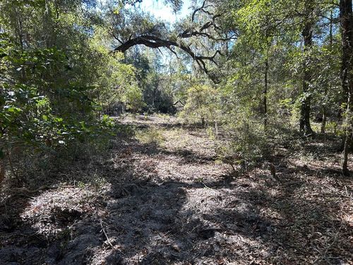 00 Ne 120th St, BRONSON, FL, 32621 | Card Image