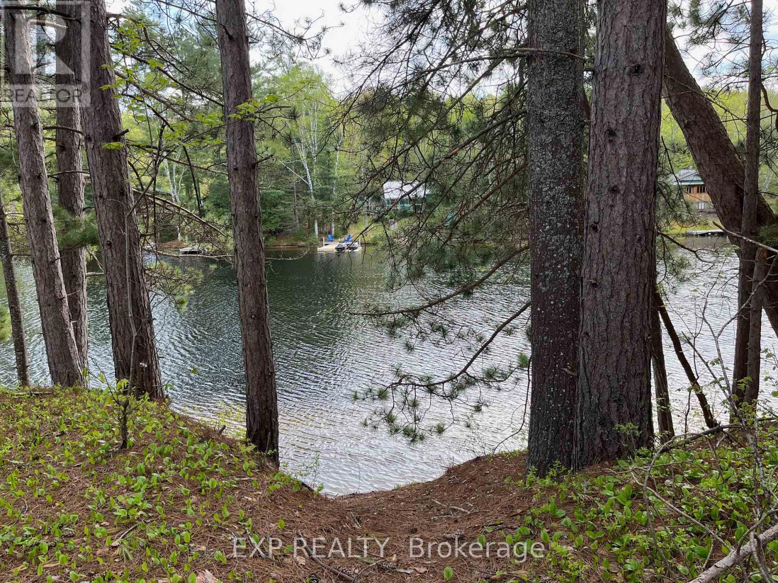 Land in Madawaska Valley 4
