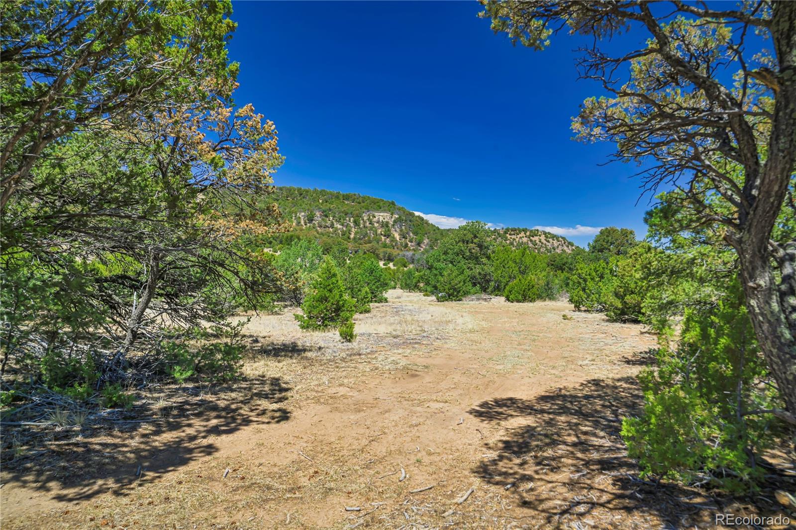 Land in Aguilar 2