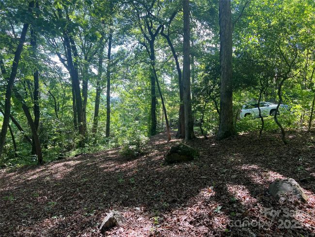 1110 Timberbluff Way, Home with 0 bedrooms, 0 bathrooms and null parking in Arden NC | Image 5