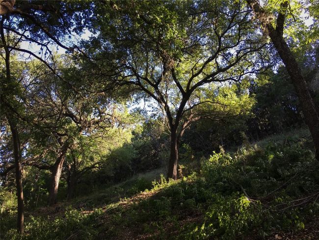 14013 Running Deer Trl, Home with 0 bedrooms, 0 bathrooms and null parking in Austin TX | Image 22