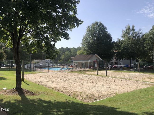 1331 volleyball | Image 4