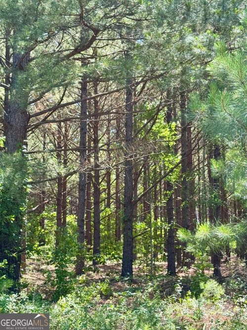 0 Sheppard Rd, Tennille, GA, 31089 | Card Image