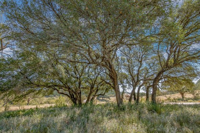 55 - 55 Burton Ranch Rd, Home with 0 bedrooms, 0 bathrooms and null parking in Junction TX | Image 5