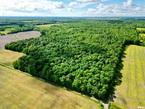 000 Flint Dr, Louisville, IL, 62858 | Card Image