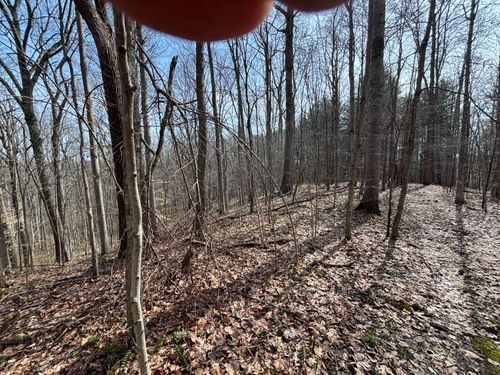 24115 Sanes Creek Rd, Laurel, IN, 47024-9628 | Card Image