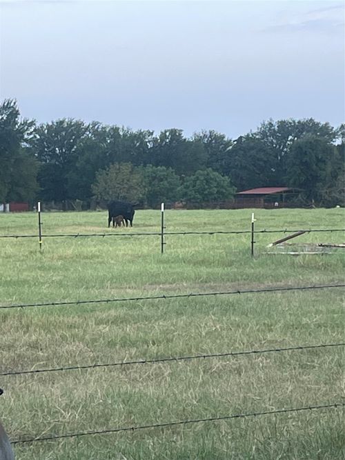 TBD Brown Rd, Palo Pinto, TX, 76484 | Card Image