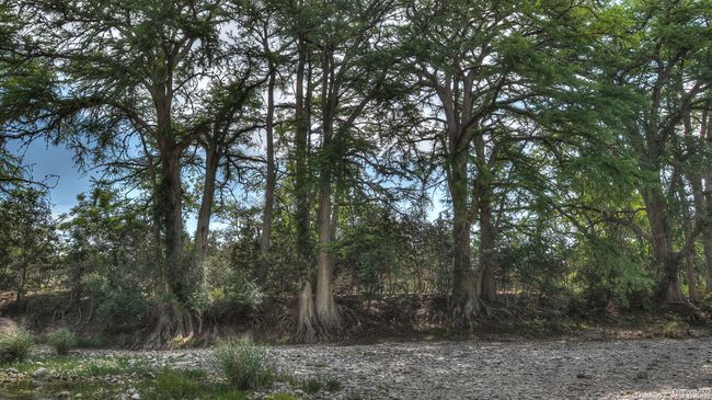 154 Weston Rd, House other with 1 bedrooms, 1 bathrooms and null parking in Leakey TX | Image 11