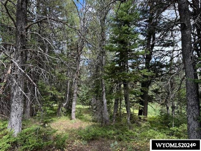 8651 Tower Hill Rd, Home with 0 bedrooms, 0 bathrooms and null parking in Casper WY | Image 11