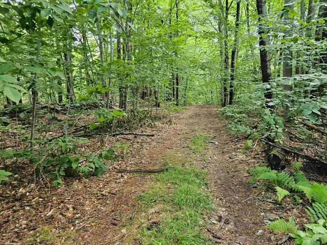 4000-ANDAMP-5000 - 00 Snowshoe Hill Rd, Home with 0 bedrooms, 0 bathrooms and null parking in Canterbury NH | Image 10